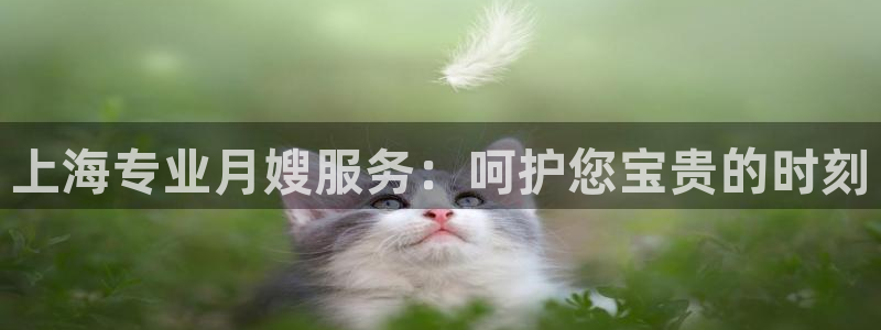 杏悦官方平台是正品吗