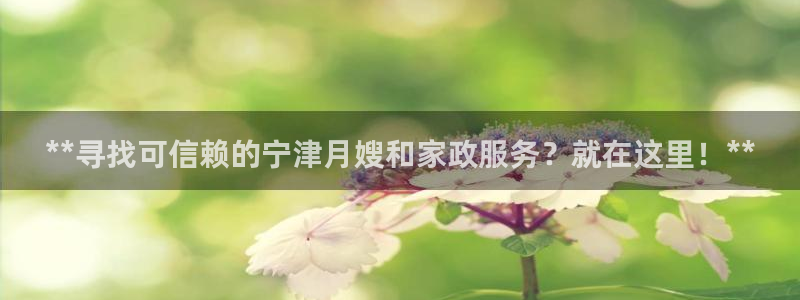 杏悦平台代理怎么赚钱