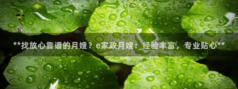 杏悦t首选推荐平台