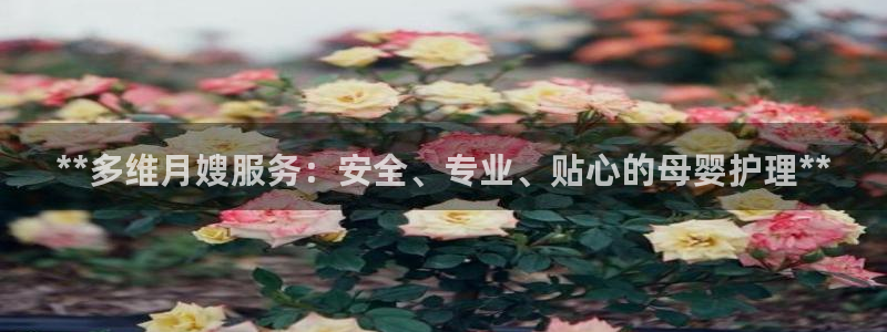 杏悦总代理