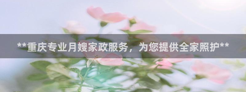 杏悦招商地址
