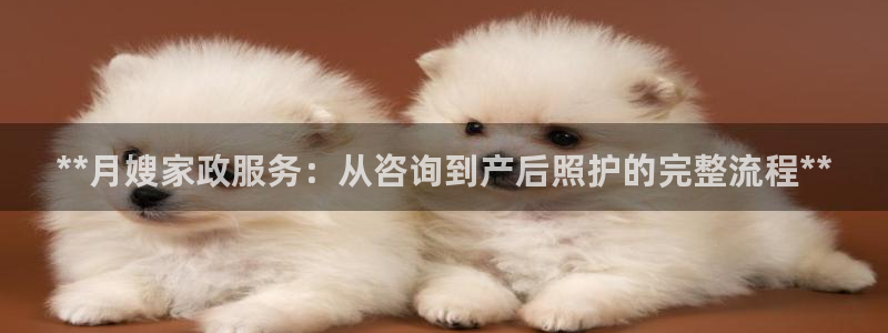 杏悦平台地址