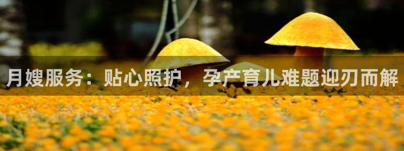 杏悦平台代理