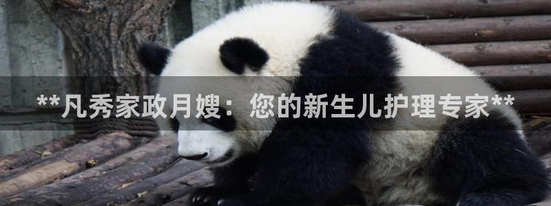 杏悦地址