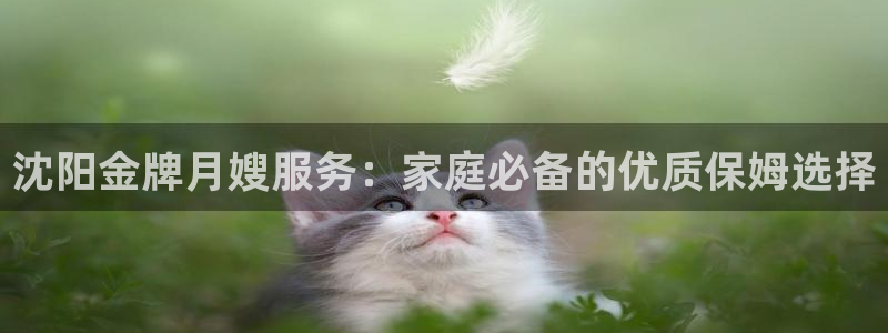 杏悦平台招商
