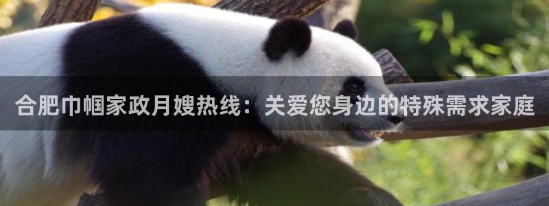 杏悦平台代理怎么赚钱