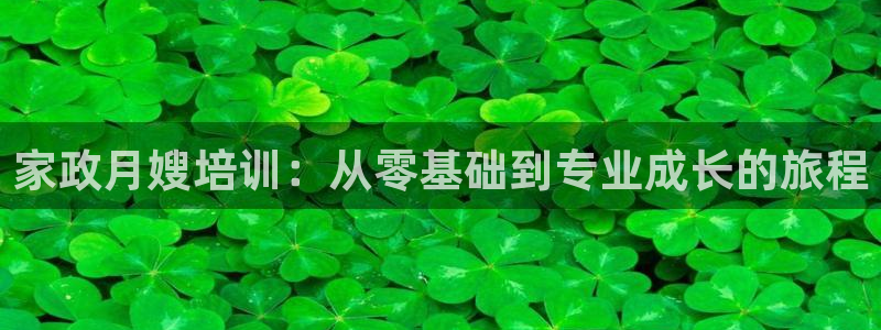 杏悦平台开户地址怎么改