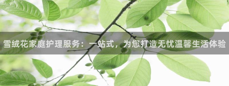 杏悦平台招商