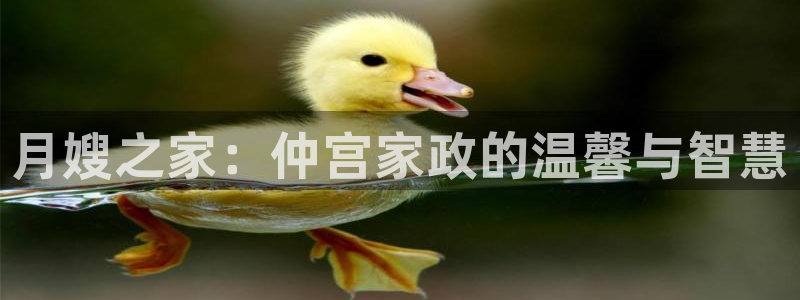杏悦官网