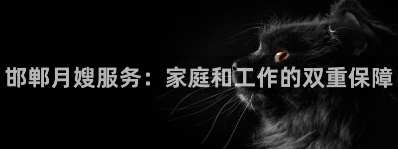 杏悦平台代理怎么做