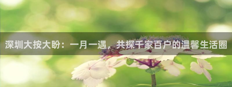 杏悦招商地址