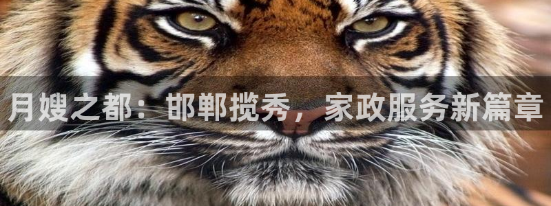 杏悦平台代理怎么赚钱快