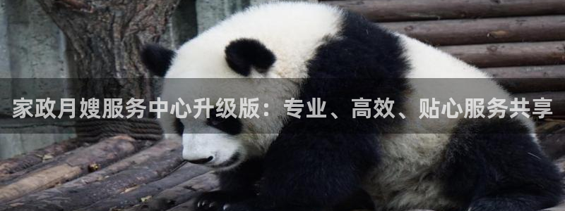 杏悦平台招商