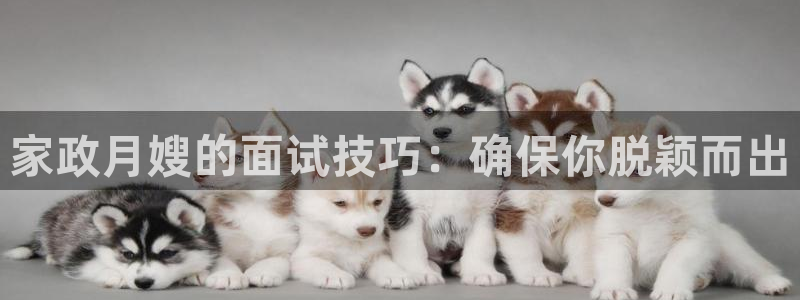 杏悦总代理