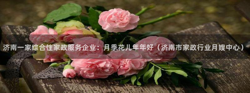 杏悦平台招商怎么样