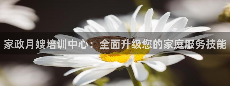 杏悦官方平台