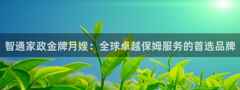 杏悦平台代理怎么赚钱