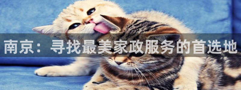 杏悦招商地址