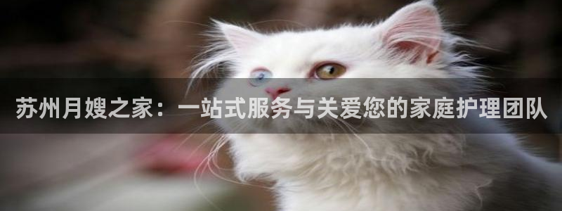 杏悦平台招商怎么样