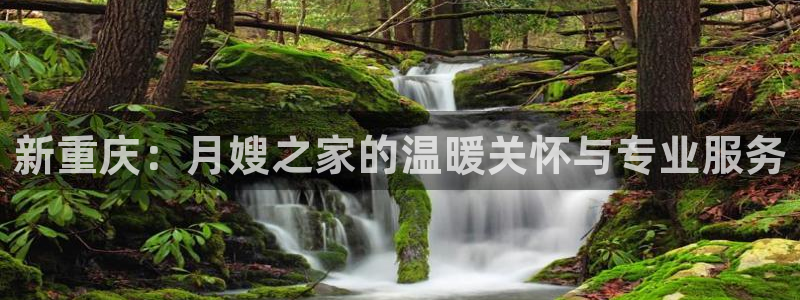 杏悦官网注册信息是什么样的