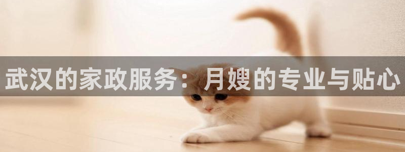 杏悦平台代理怎么样啊