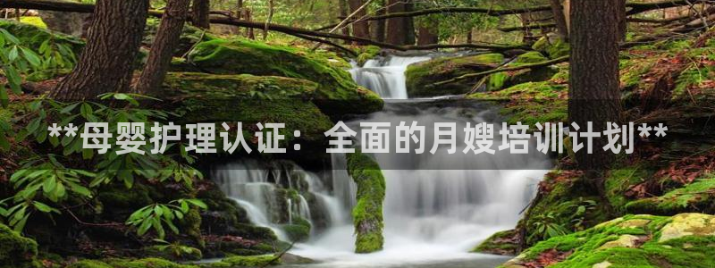 杏悦平台代理怎么样可靠吗