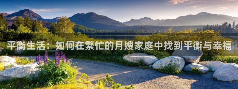 杏悦官方平台是正品吗知乎