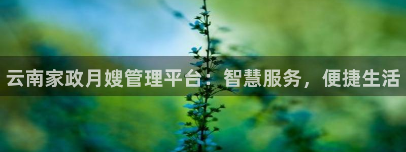 杏悦官网登录入口网址是什么