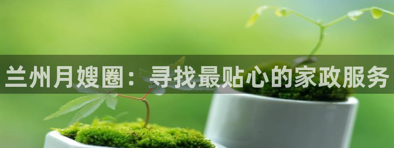 杏悦平台代理怎么做的