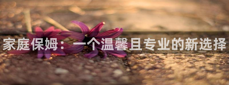 杏悦平台代理多少钱