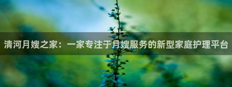 杏悦娱乐注册平台