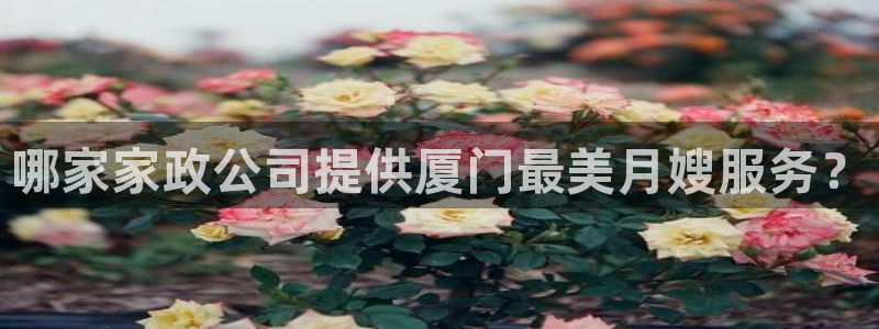 杏悦平台代理注册