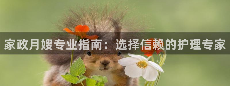 杏悦官网注册信息是什么样的