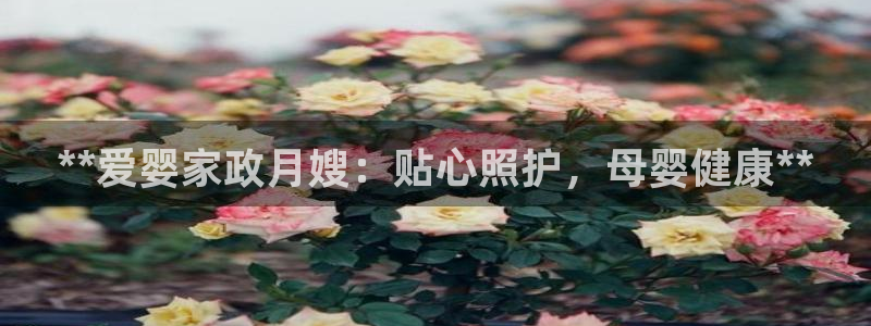 杏悦娱乐注册平台