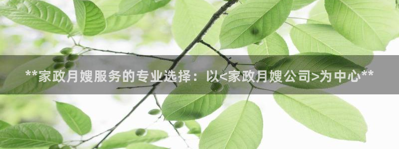 杏悦平台登录入口官网
