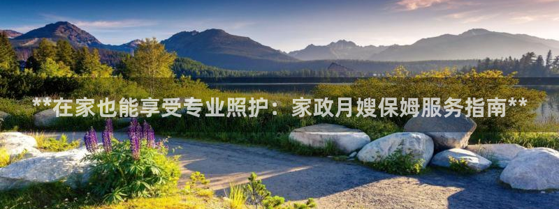 杏悦官网登录入口网址是什么