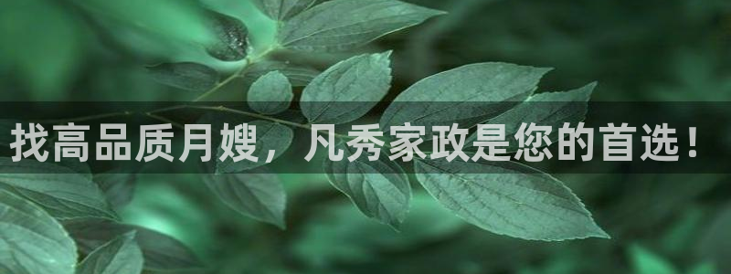 杏悦娱乐注册平台怎么样