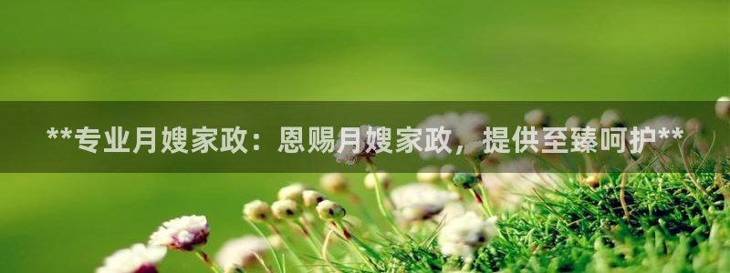 杏悦官网注册信息在哪里看