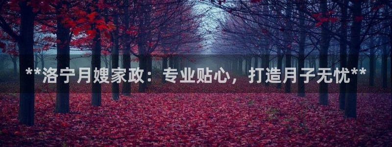 杏悦官网注册信息查询