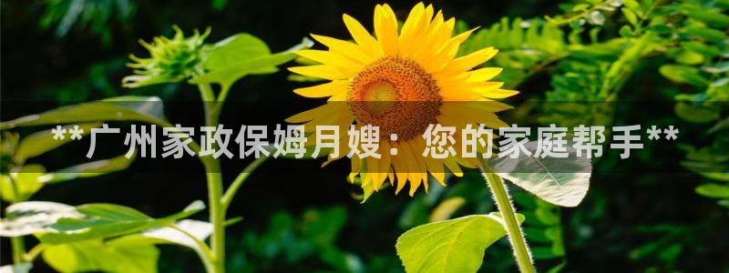 杏悦平台注册地址