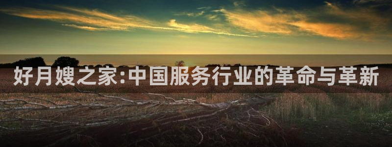 杏悦平台登录网址