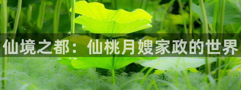 杏悦官网注册信息在哪里