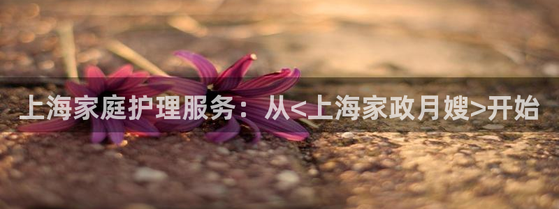 杏悦平台代理注册