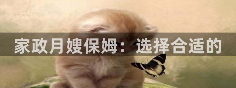 杏悦娱乐注册平台