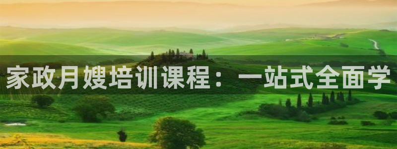 杏悦平台代理注册