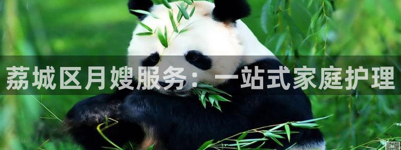 杏悦平台注册地址