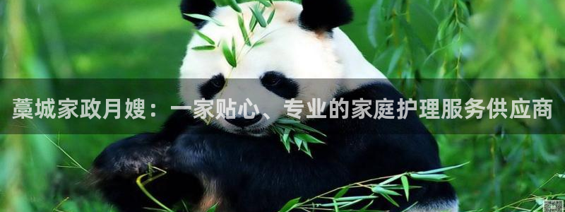 杏悦娱乐注册平台怎么样