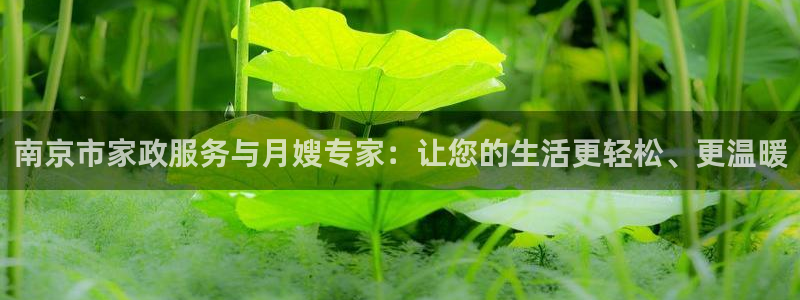 杏悦平台登录入口官网