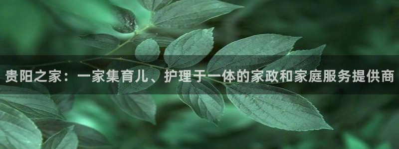 杏悦平台注册地址在哪里