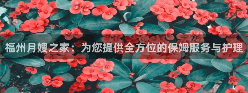 杏悦官网注册信息是什么样的